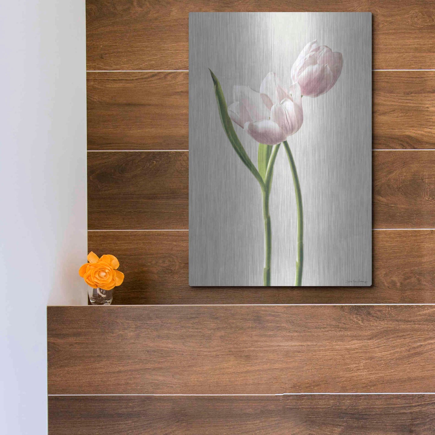 Luxe Metal Art 'Light Tulips III' by Debra Van Swearingen, Metal Wall Art,12x16