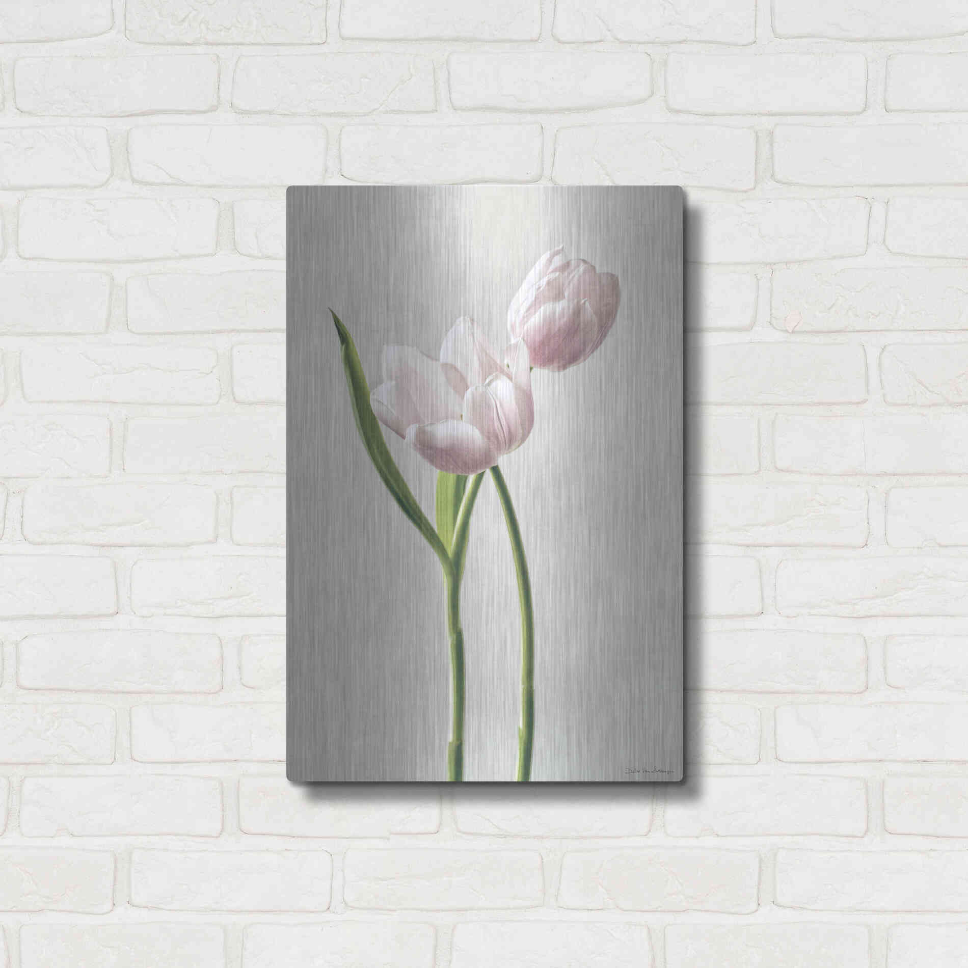 Luxe Metal Art 'Light Tulips III' by Debra Van Swearingen, Metal Wall Art,16x24