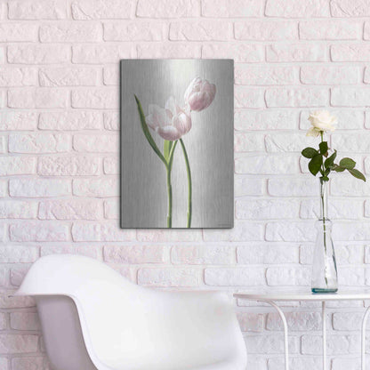 Luxe Metal Art 'Light Tulips III' by Debra Van Swearingen, Metal Wall Art,16x24