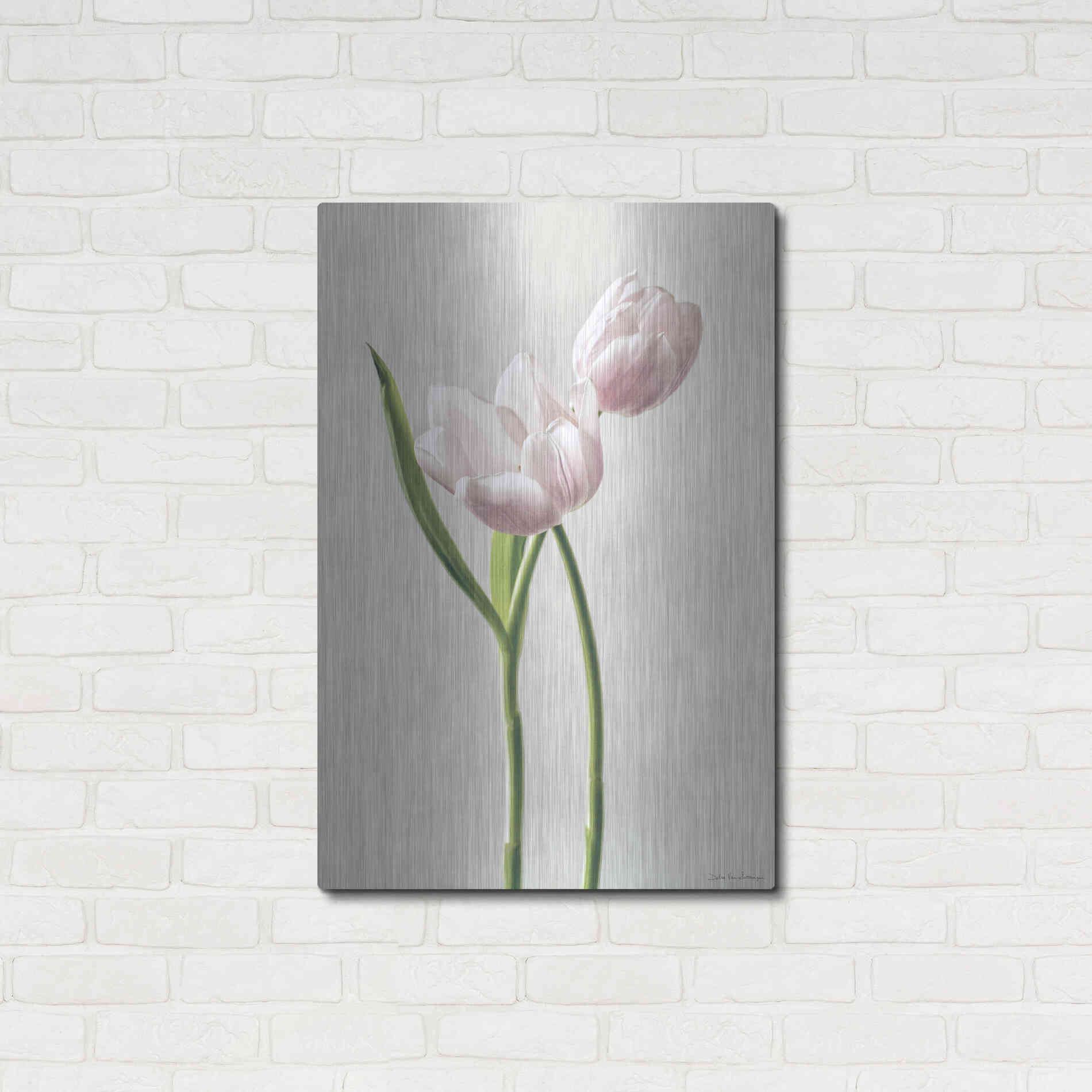 Luxe Metal Art 'Light Tulips III' by Debra Van Swearingen, Metal Wall Art,24x36