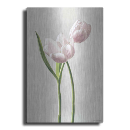 Luxe Metal Art 'Light Tulips III' by Debra Van Swearingen, Metal Wall Art