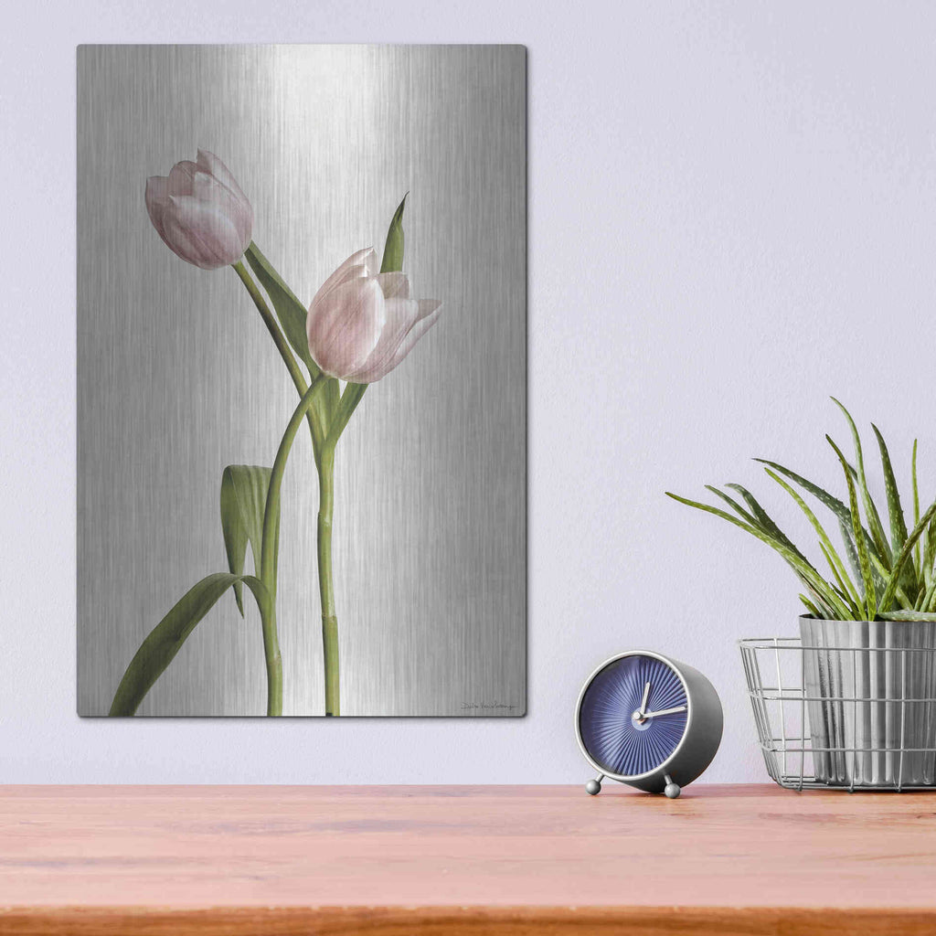 Luxe Metal Art 'Light Tulips IV' by Debra Van Swearingen, Metal Wall Art,12x16