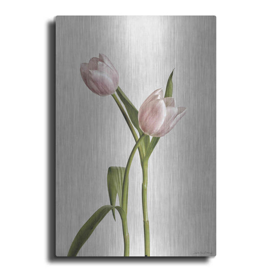 Luxe Metal Art 'Light Tulips IV' by Debra Van Swearingen, Metal Wall Art