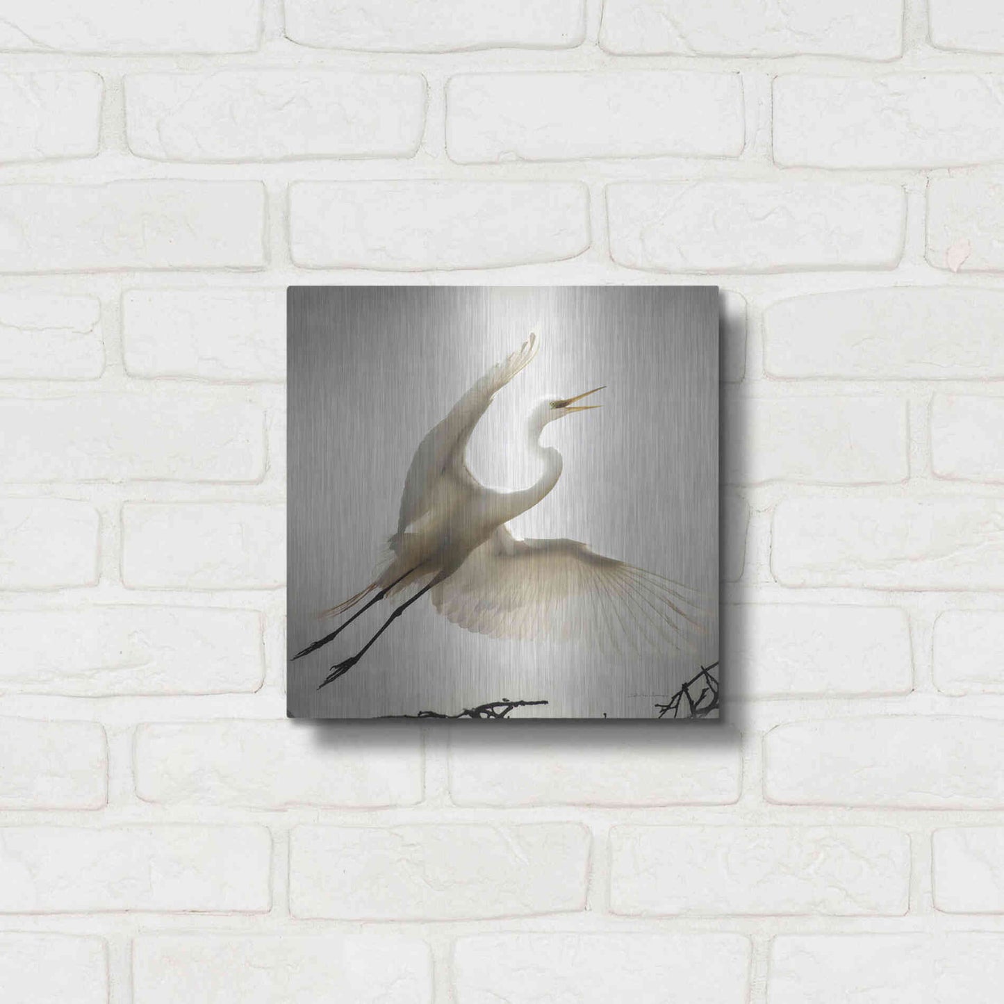 Luxe Metal Art 'Emergence' by Debra Van Swearingen, Metal Wall Art,12x12