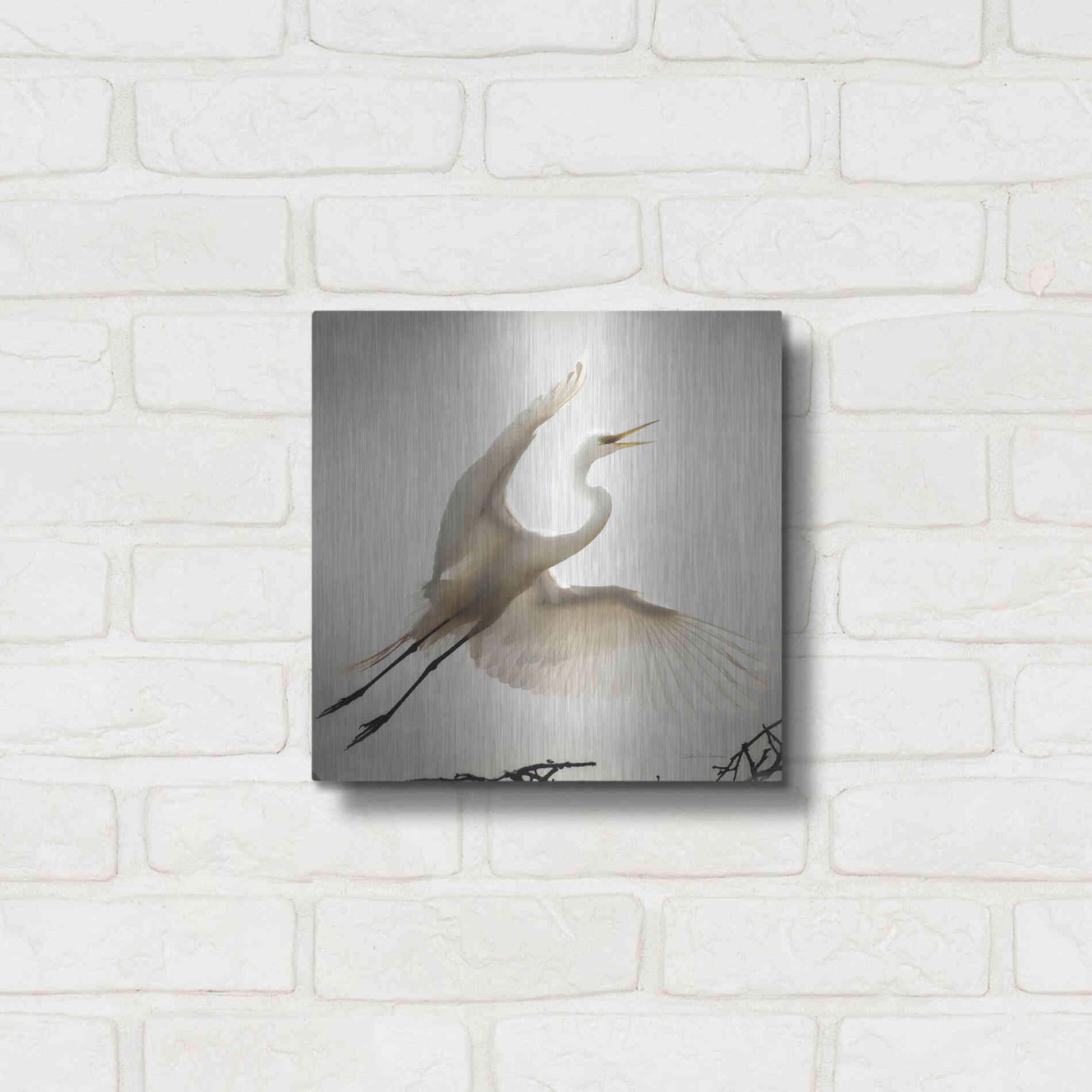 Luxe Metal Art 'Emergence' by Debra Van Swearingen, Metal Wall Art,12x12