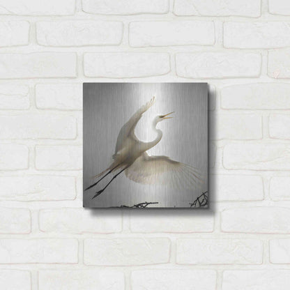 Luxe Metal Art 'Emergence' by Debra Van Swearingen, Metal Wall Art,12x12