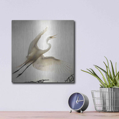 Luxe Metal Art 'Emergence' by Debra Van Swearingen, Metal Wall Art,12x12