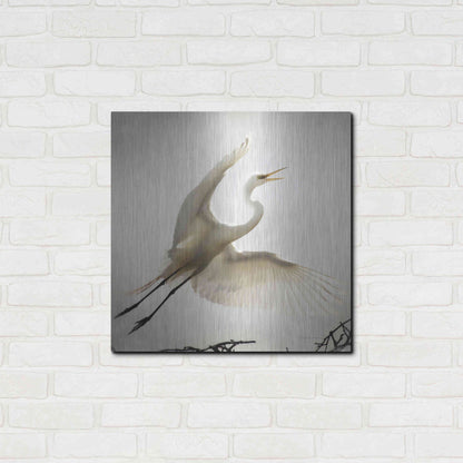 Luxe Metal Art 'Emergence' by Debra Van Swearingen, Metal Wall Art,24x24