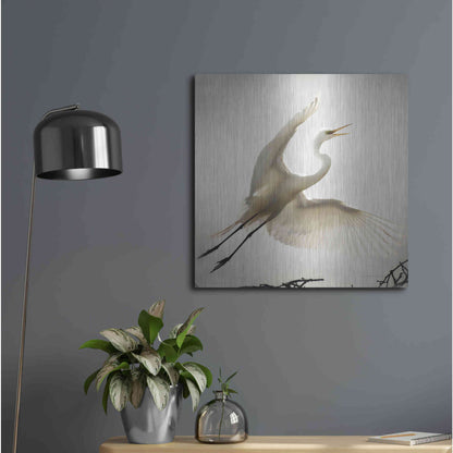 Luxe Metal Art 'Emergence' by Debra Van Swearingen, Metal Wall Art,24x24