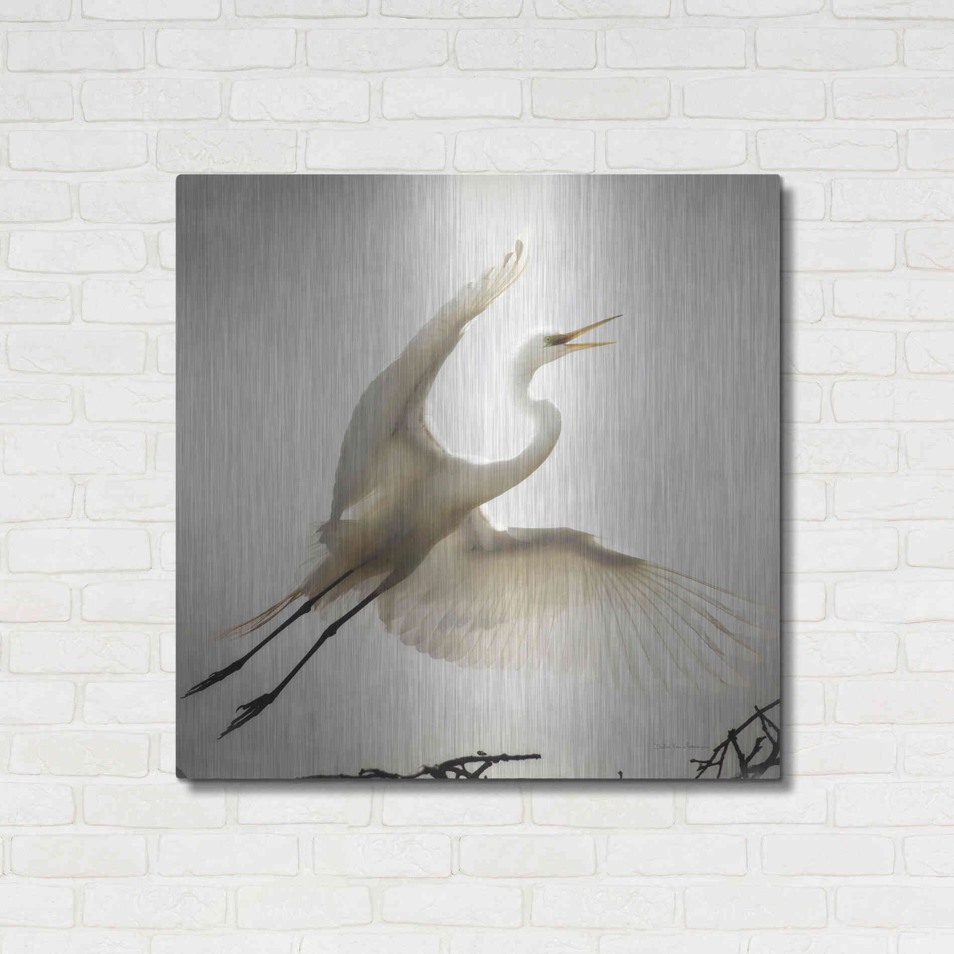 Luxe Metal Art 'Emergence' by Debra Van Swearingen, Metal Wall Art,36x36