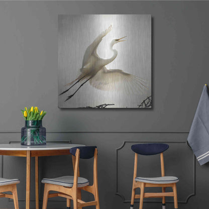 Luxe Metal Art 'Emergence' by Debra Van Swearingen, Metal Wall Art,36x36