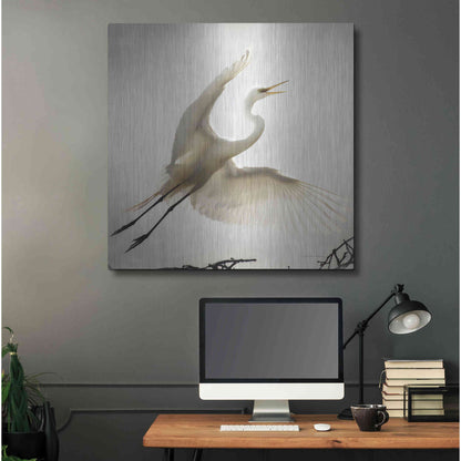 Luxe Metal Art 'Emergence' by Debra Van Swearingen, Metal Wall Art,36x36