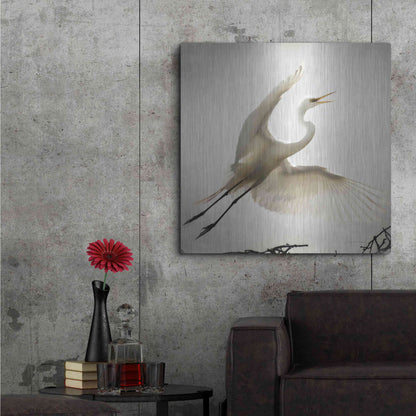 Luxe Metal Art 'Emergence' by Debra Van Swearingen, Metal Wall Art,36x36