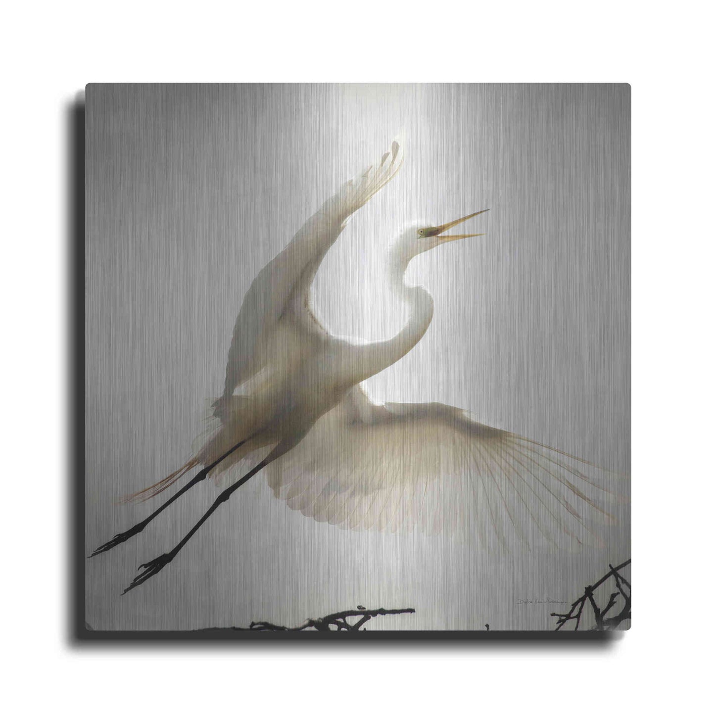 Luxe Metal Art 'Emergence' by Debra Van Swearingen, Metal Wall Art