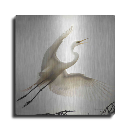 Luxe Metal Art 'Emergence' by Debra Van Swearingen, Metal Wall Art