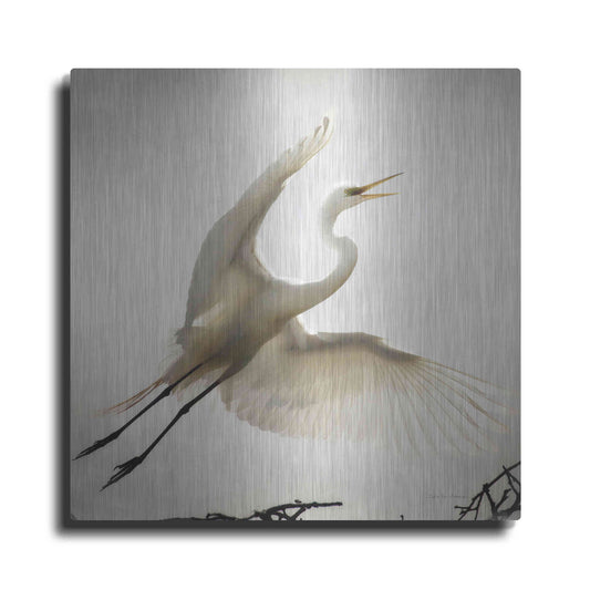 Luxe Metal Art 'Emergence' by Debra Van Swearingen, Metal Wall Art