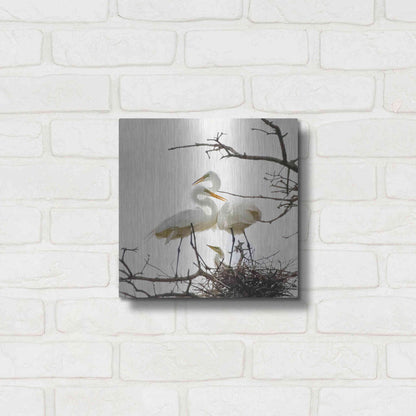 Luxe Metal Art 'Devotion' by Debra Van Swearingen, Metal Wall Art,12x12