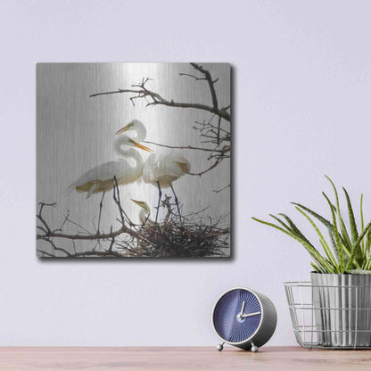 Luxe Metal Art 'Devotion' by Debra Van Swearingen, Metal Wall Art,12x12