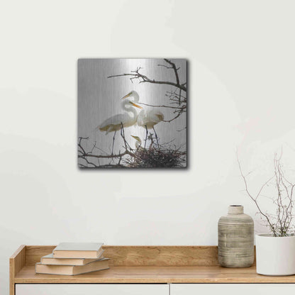 Luxe Metal Art 'Devotion' by Debra Van Swearingen, Metal Wall Art,12x12