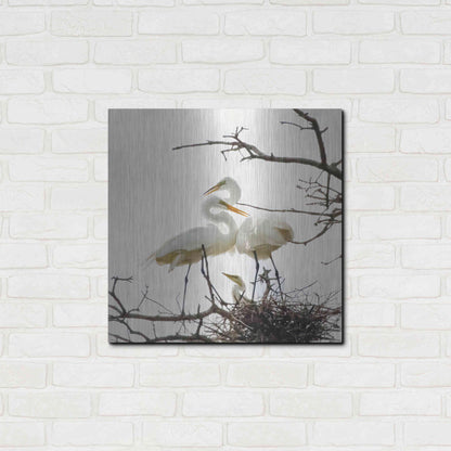 Luxe Metal Art 'Devotion' by Debra Van Swearingen, Metal Wall Art,24x24