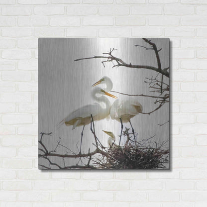 Luxe Metal Art 'Devotion' by Debra Van Swearingen, Metal Wall Art,36x36