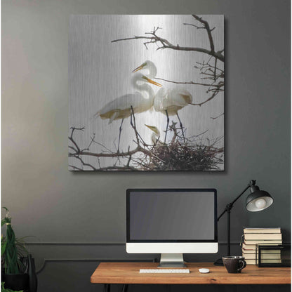 Luxe Metal Art 'Devotion' by Debra Van Swearingen, Metal Wall Art,36x36