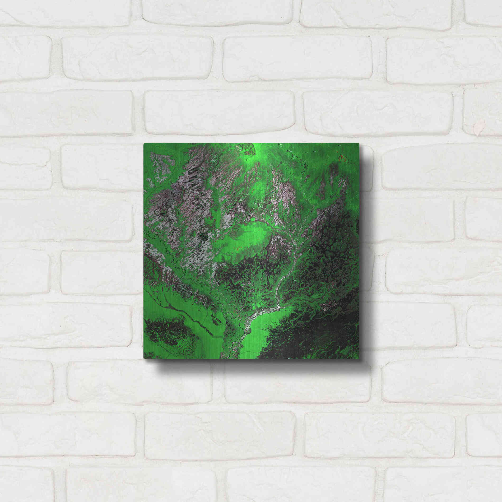 Luxe Metal Art 'Earth as Art: Araca River' Metal Wall Art,12x12