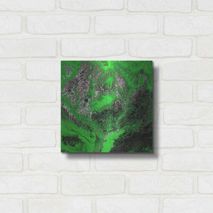 Luxe Metal Art 'Earth as Art: Araca River' Metal Wall Art,12x12