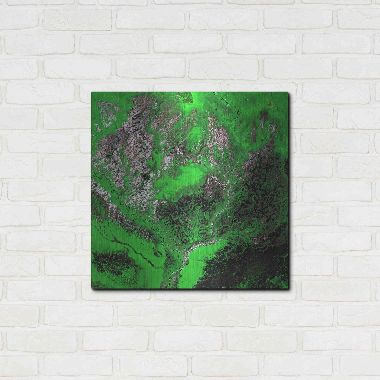 Luxe Metal Art 'Earth as Art: Araca River' Metal Wall Art,24x24