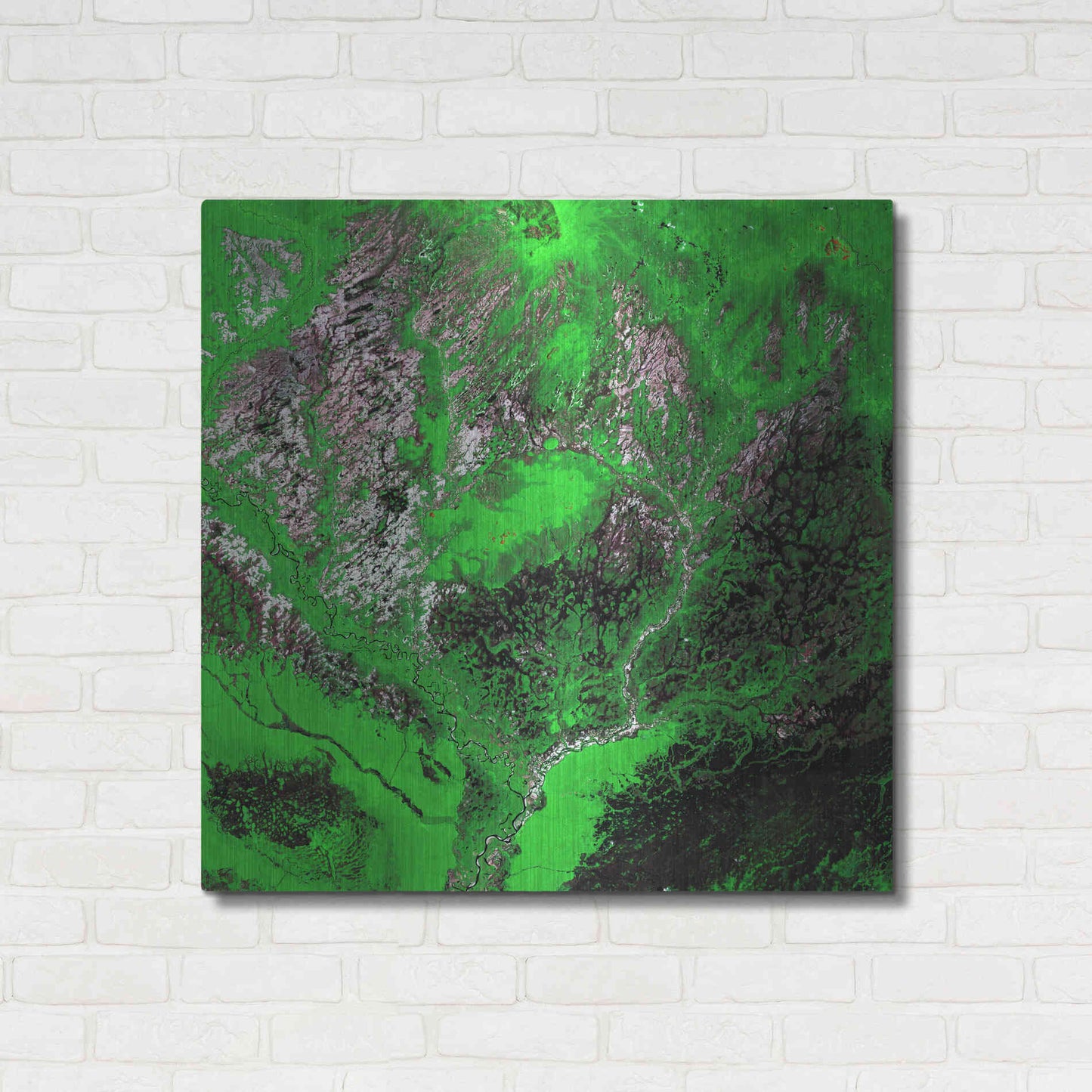 Luxe Metal Art 'Earth as Art: Araca River' Metal Wall Art,36x36
