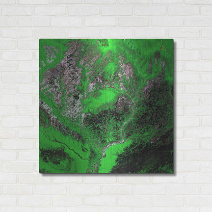Luxe Metal Art 'Earth as Art: Araca River' Metal Wall Art,36x36