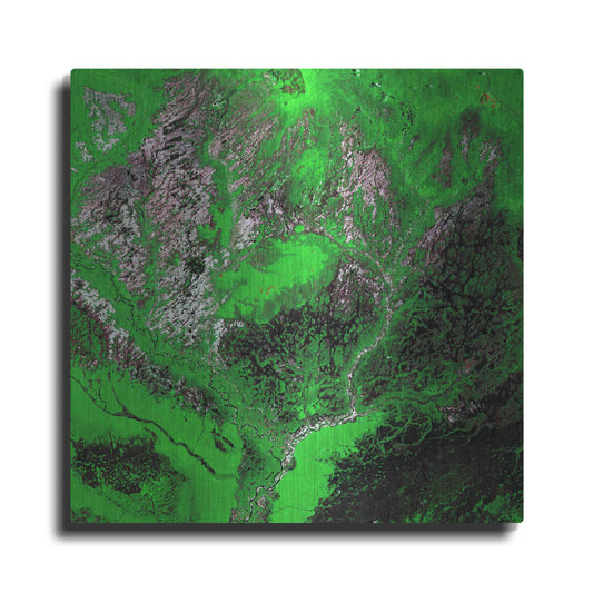 Luxe Metal Art 'Earth as Art: Araca River' Metal Wall Art
