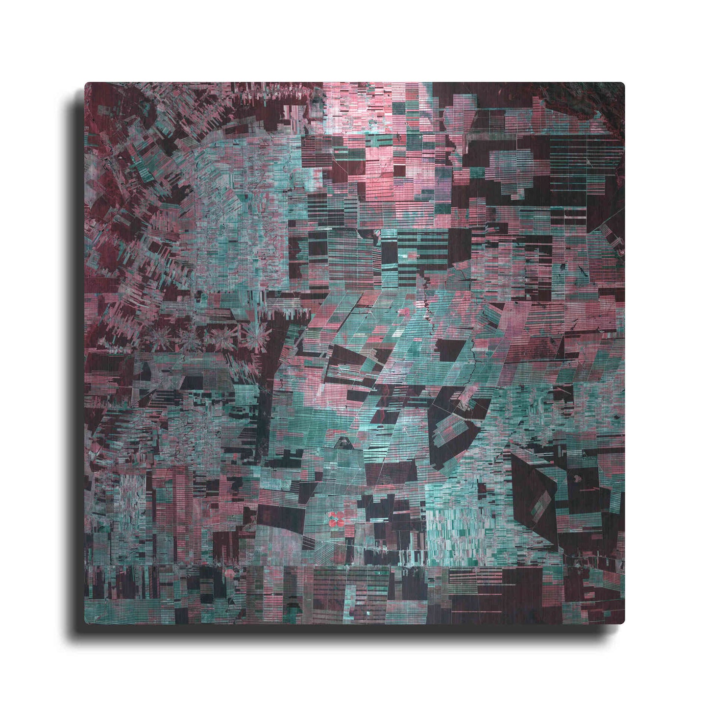 Luxe Metal Art 'Earth as Art: Bolivia Deforestation' Metal Wall Art