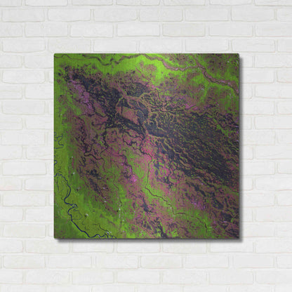 Luxe Metal Art 'Earth as Art: Demini River' Metal Wall Art,36x36