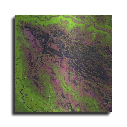 Luxe Metal Art 'Earth as Art: Demini River' Metal Wall Art
