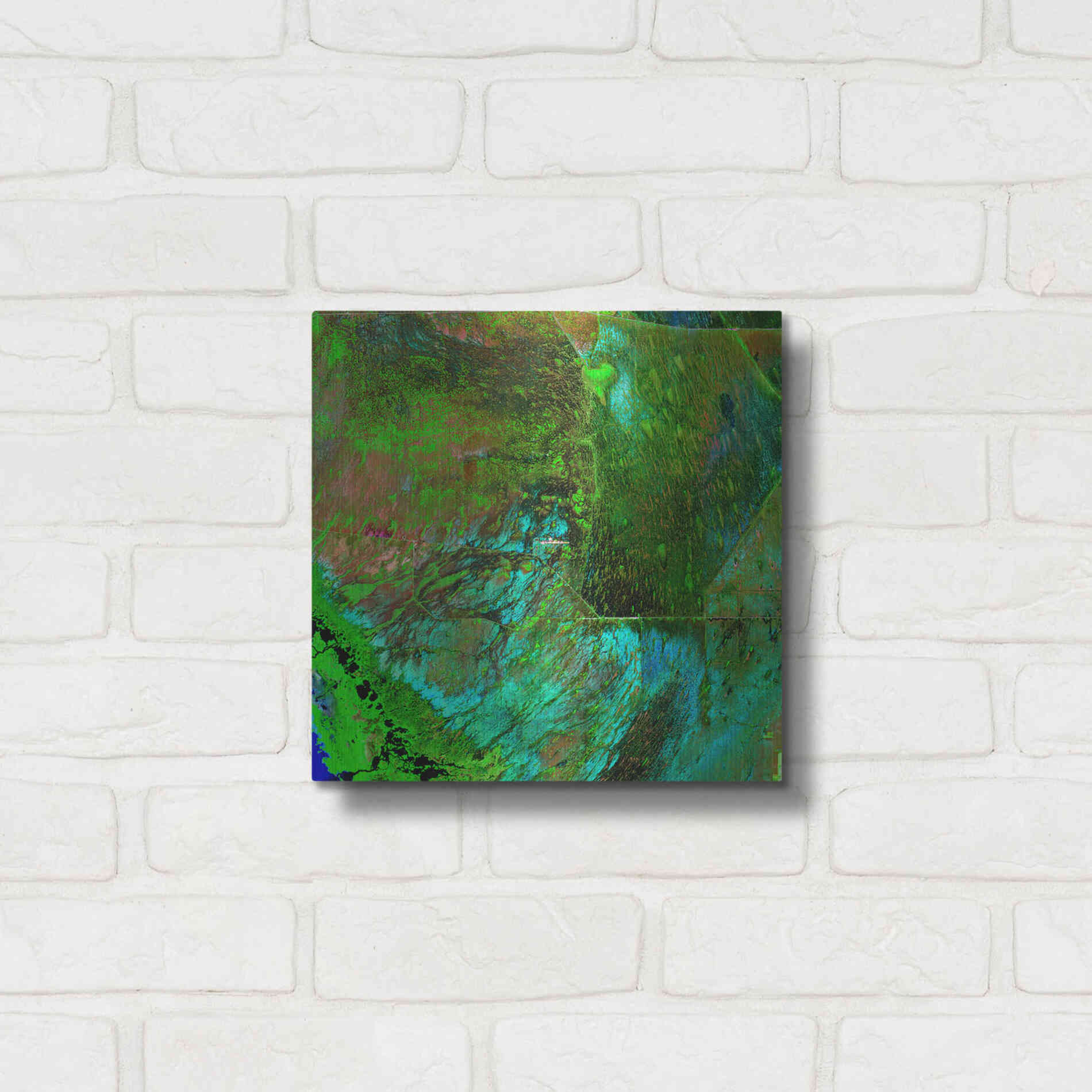 Luxe Metal Art 'Earth as Art: Everglades' Metal Wall Art,12x12