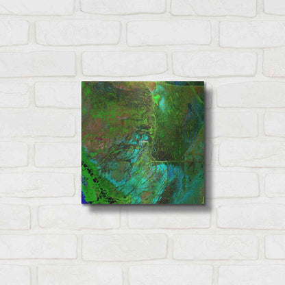 Luxe Metal Art 'Earth as Art: Everglades' Metal Wall Art,12x12