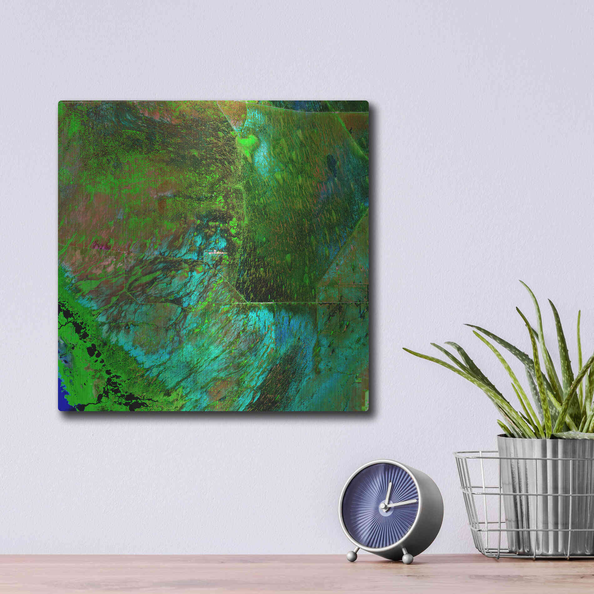 Luxe Metal Art 'Earth as Art: Everglades' Metal Wall Art,12x12