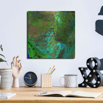 Luxe Metal Art 'Earth as Art: Everglades' Metal Wall Art,12x12
