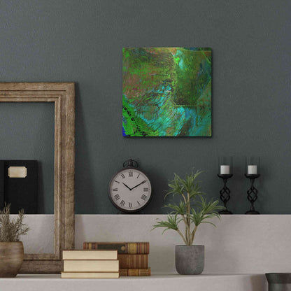 Luxe Metal Art 'Earth as Art: Everglades' Metal Wall Art,12x12