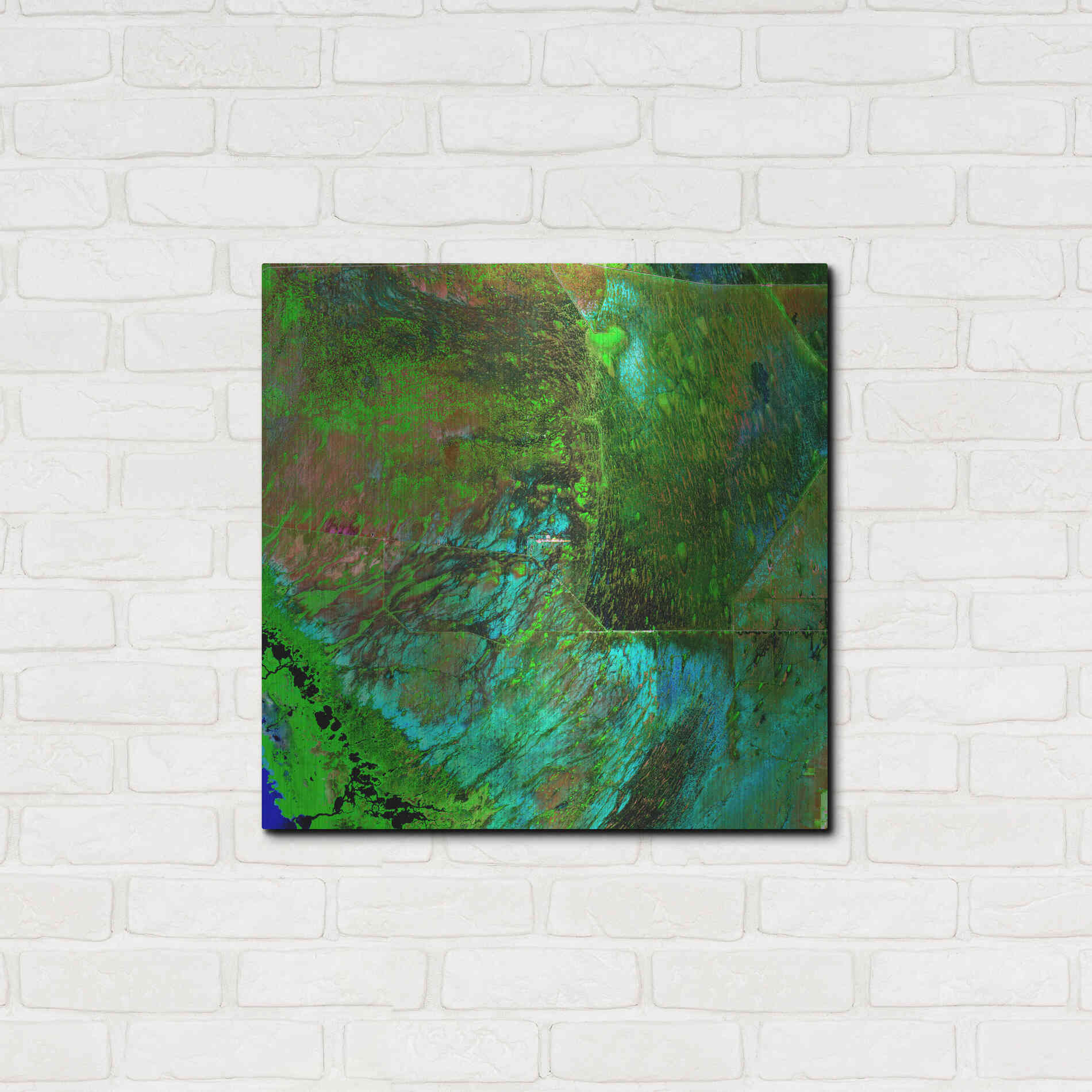 Luxe Metal Art 'Earth as Art: Everglades' Metal Wall Art,24x24