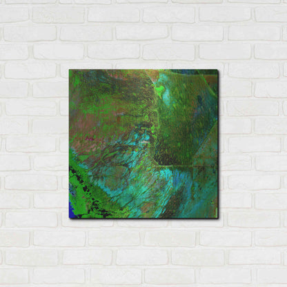 Luxe Metal Art 'Earth as Art: Everglades' Metal Wall Art,24x24