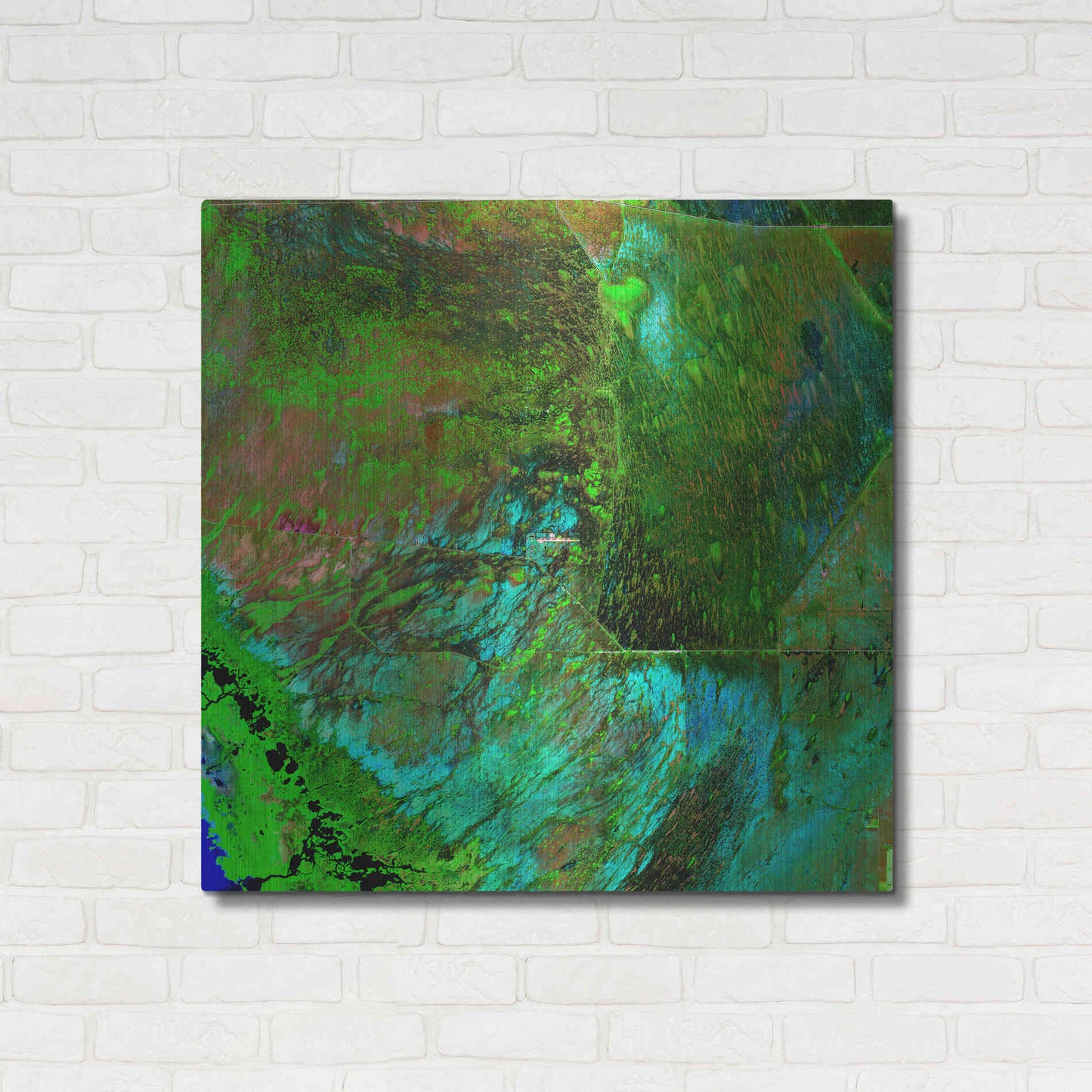 Luxe Metal Art 'Earth as Art: Everglades' Metal Wall Art,36x36