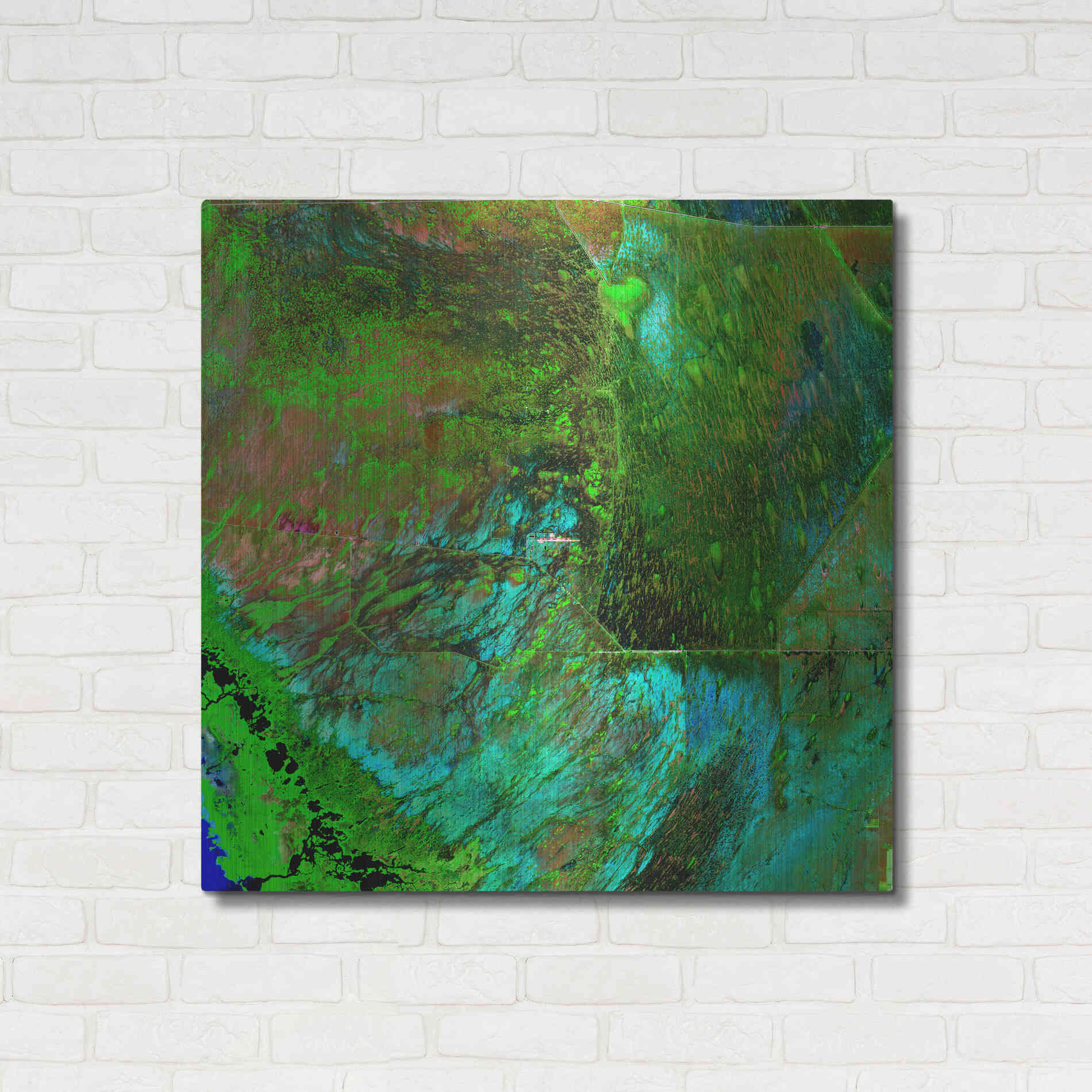 Luxe Metal Art 'Earth as Art: Everglades' Metal Wall Art,36x36