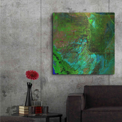 Luxe Metal Art 'Earth as Art: Everglades' Metal Wall Art,36x36