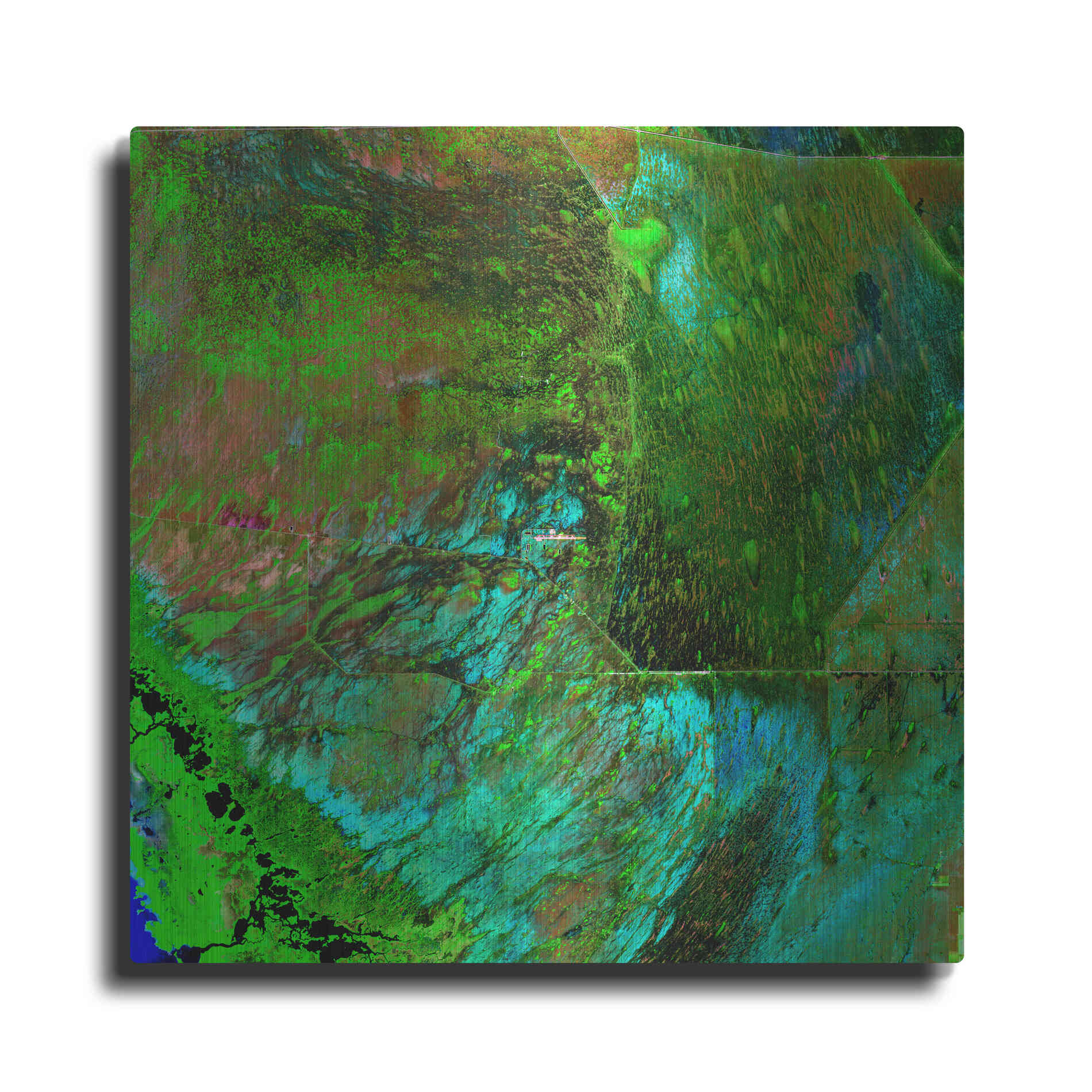 Luxe Metal Art 'Earth as Art: Everglades' Metal Wall Art