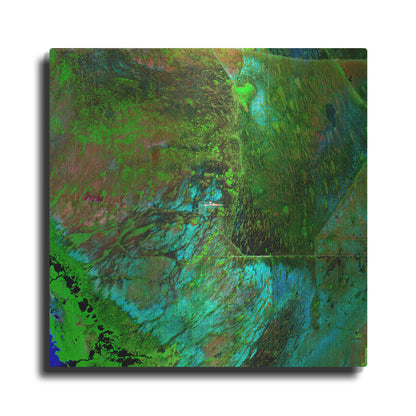 Luxe Metal Art 'Earth as Art: Everglades' Metal Wall Art