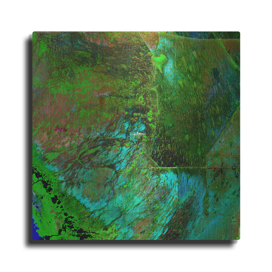 Luxe Metal Art 'Earth as Art: Everglades' Metal Wall Art