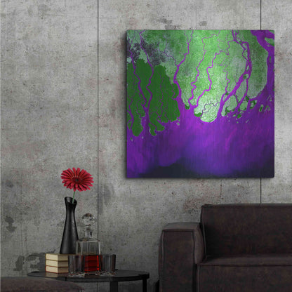 Luxe Metal Art 'Earth as Art: Ganges RIver Delta' Metal Wall Art,36x36