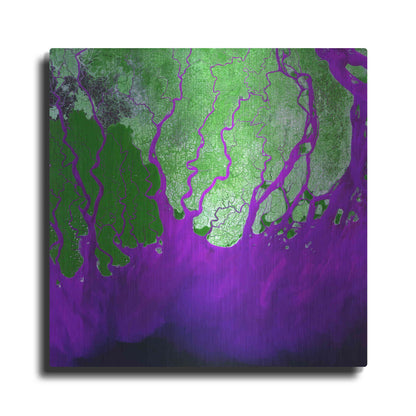 Luxe Metal Art 'Earth as Art: Ganges RIver Delta' Metal Wall Art